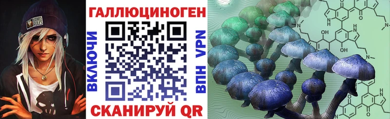 hydra зеркало  Видное  Галлюциногенные грибы MAGIC MUSHROOMS  цена  